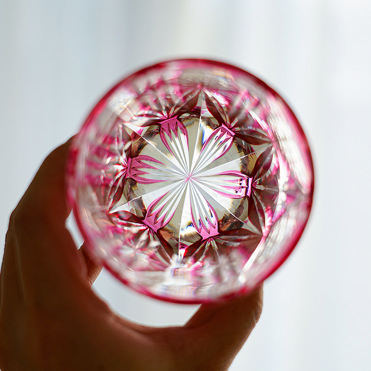 Pink Chrysanthemum